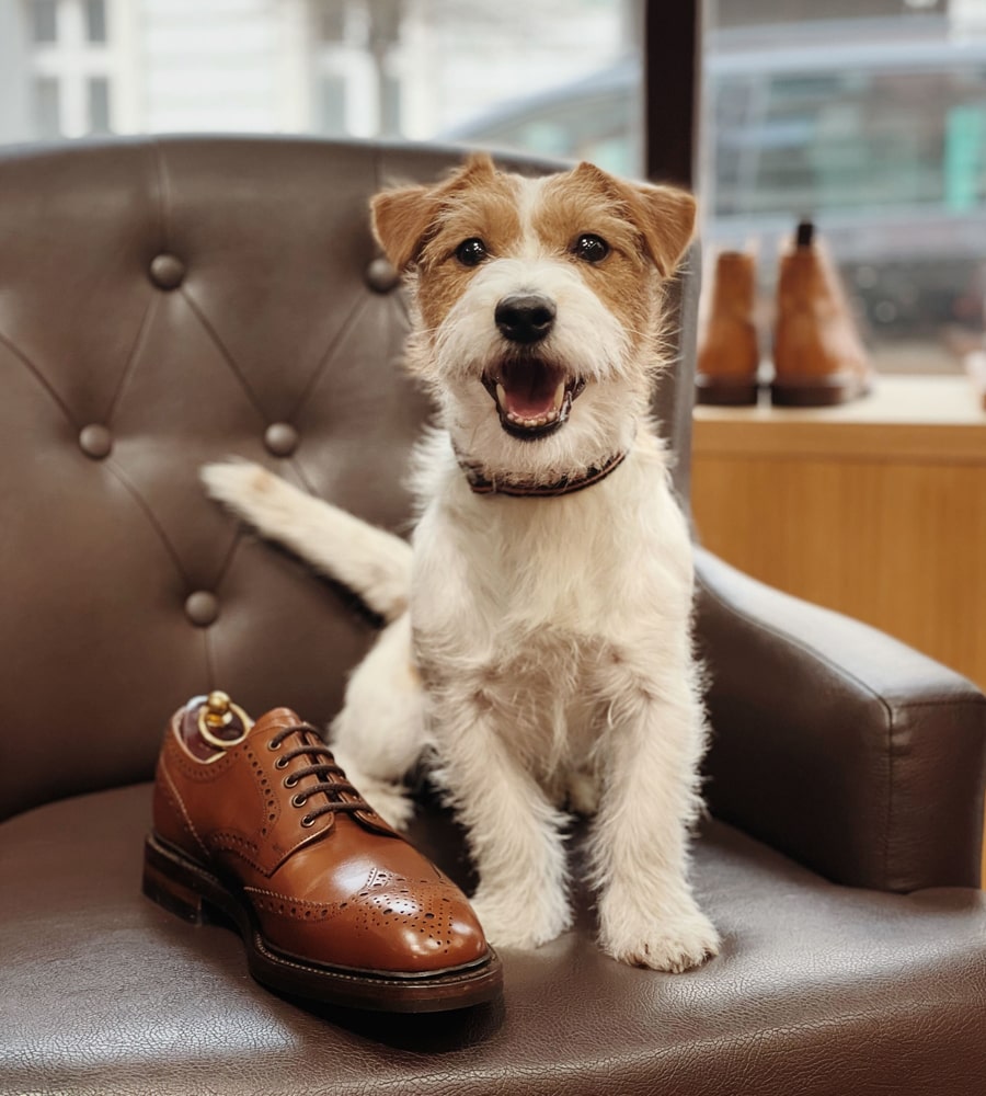 Fan Pic Competition English Men s Shoes Boots Loake Shoemakers